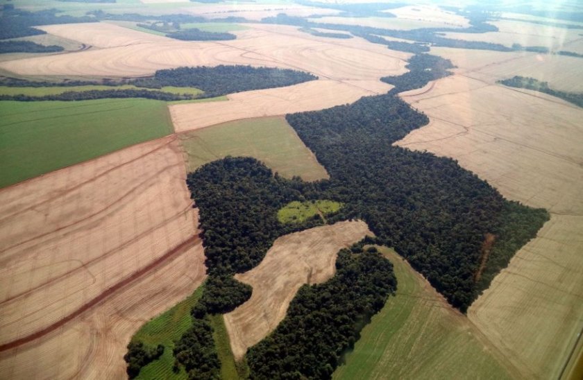 vista-de-la-zona-de-carlos-antonio-lopez-itapua-las-areas-mas-claras-son-rastrojos-de-soja-ya-cosechadas-las-intermedias-zafrinas_877_573_1345395