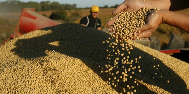 13-mie-01-cp-800x400