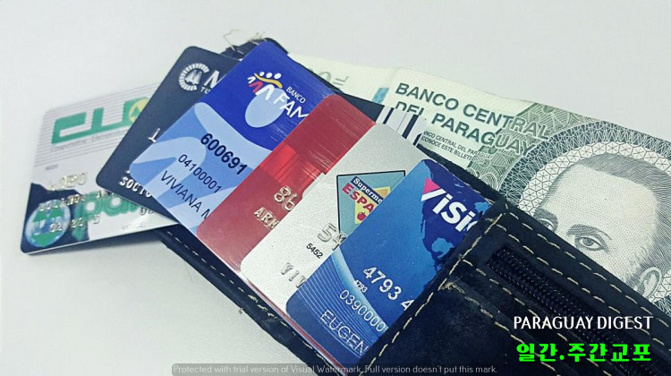 5월중 신용카드 퇴출자 1만7천여명