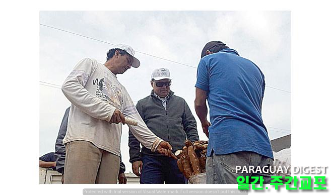 농산물직매로 생산자에 이익