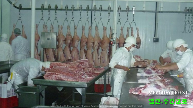 돼지고기 수출늘어