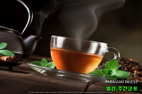 뜨거운 음료 식도암 유발