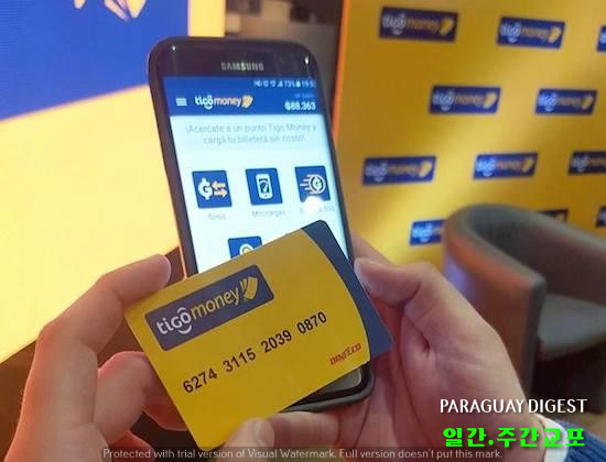 띠고머니 카드 고객 늘어