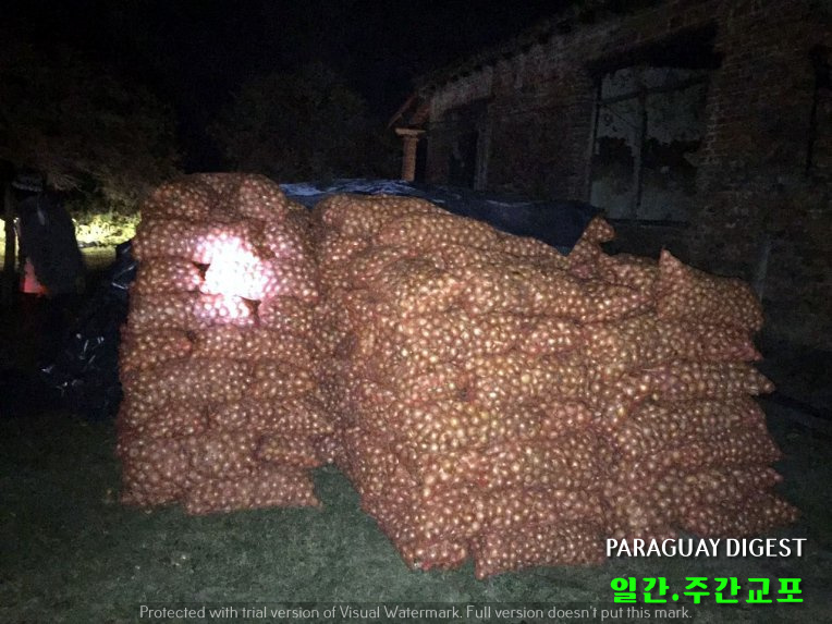 밀수 감자 양파 압수