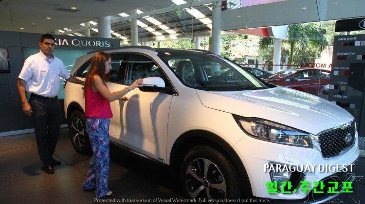 자동차수입 감소