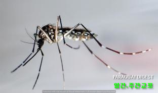 지카 바이러스원인 소두증 1건 확인