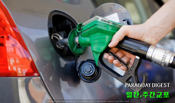 고급휘발유 인기.jpg