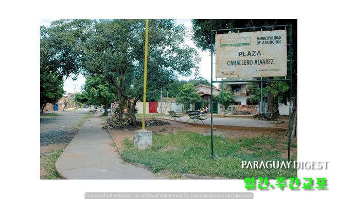 공원관리 엉망.jpg