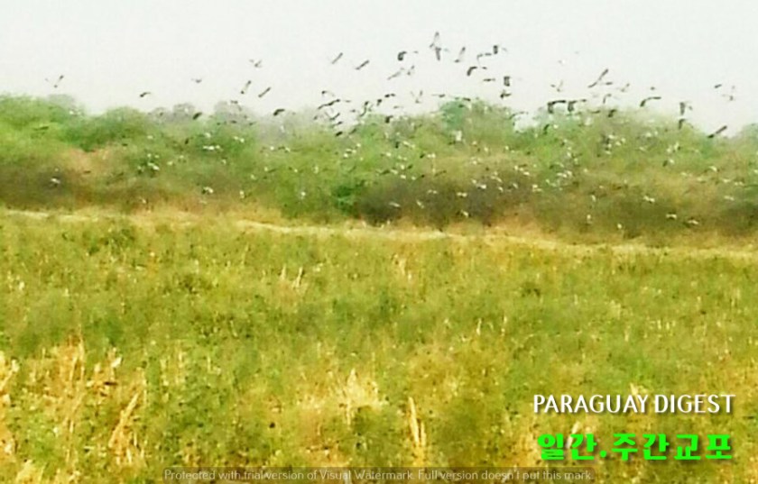 %eb%b9%84%eb%91%98%ea%b8%b0%ec%82%ac%eb%83%a5-%ed%97%88%ec%9a%a9-%ea%b2%80%ed%86%a0%ec%a4%91