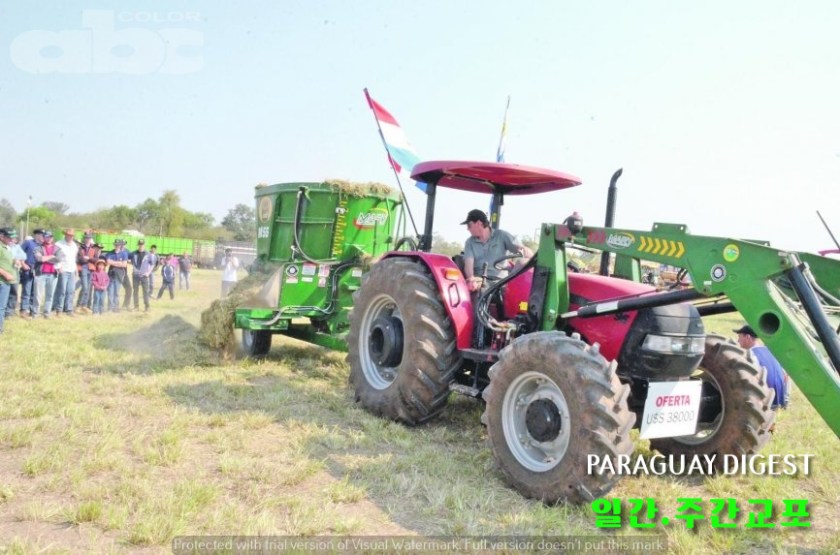 수입차량 51%감소.JPG