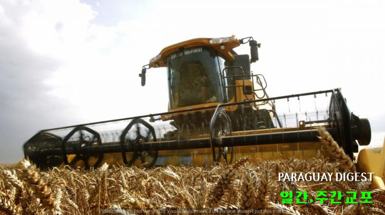 밀수출 증가.jpg