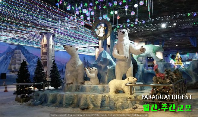 스노우 파크.jpg