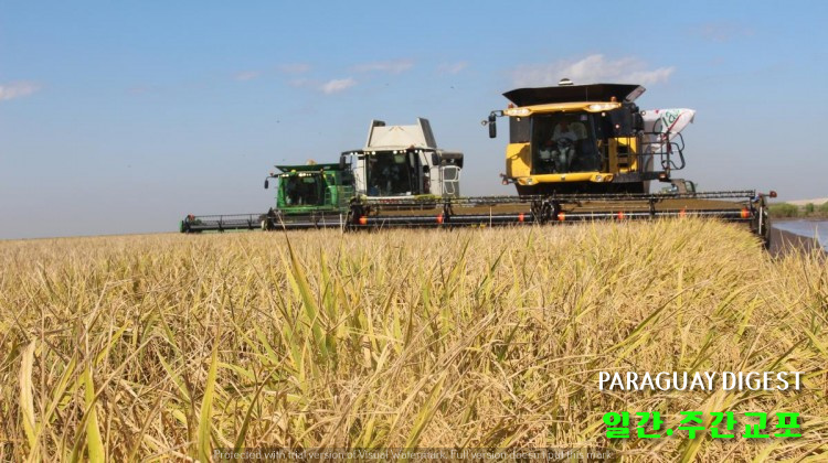 쌀수출 증가.jpg