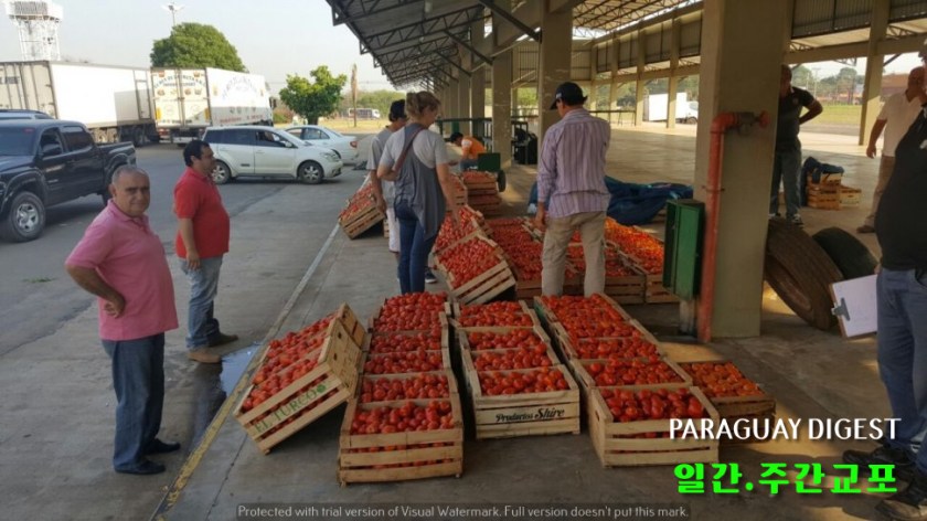 연휴기간 매출 기대 못미쳐.jpg