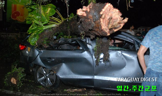 폭우 피해 속발.jpg