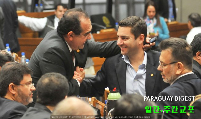 헌법 수정안 논의 미뤄져.jpg