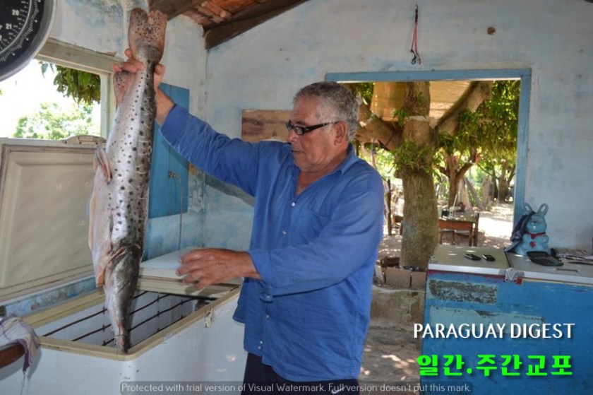 금어기 시작.JPG