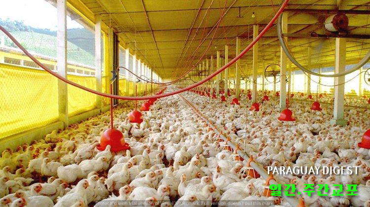 %eb%8b%ad%ea%b3%a0%ea%b8%b0-%eb%8f%84%ec%b6%95