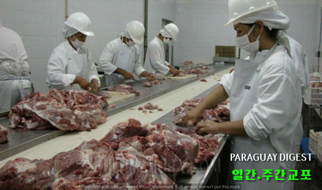 대만 쇠고기 수출 증가.jpg