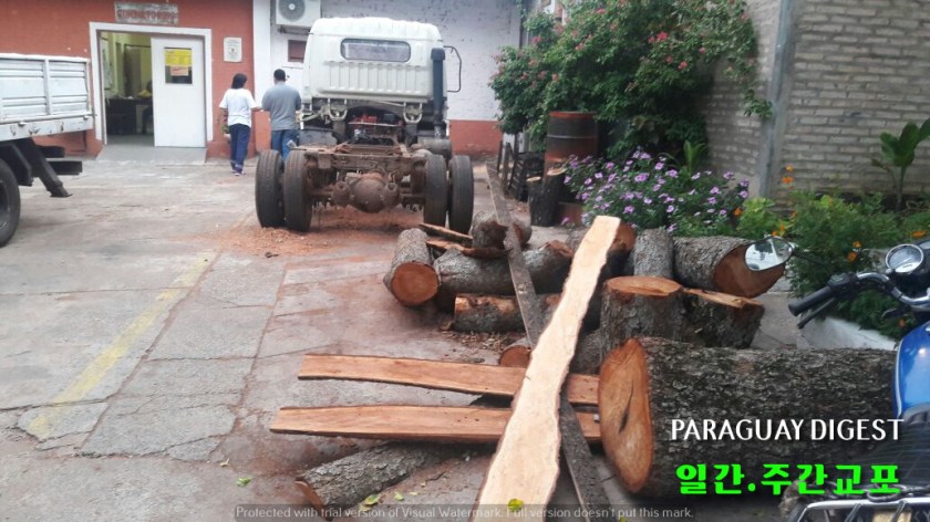 쓰러진 나무로 가구 제작.jpg