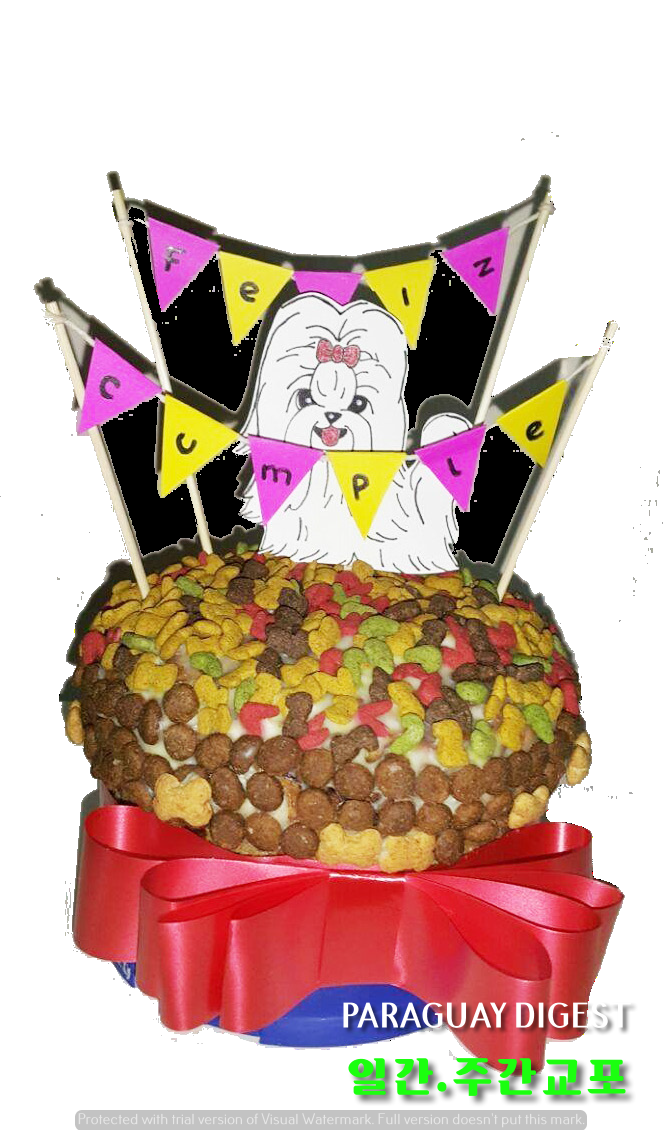 강아지 생일케잌.png