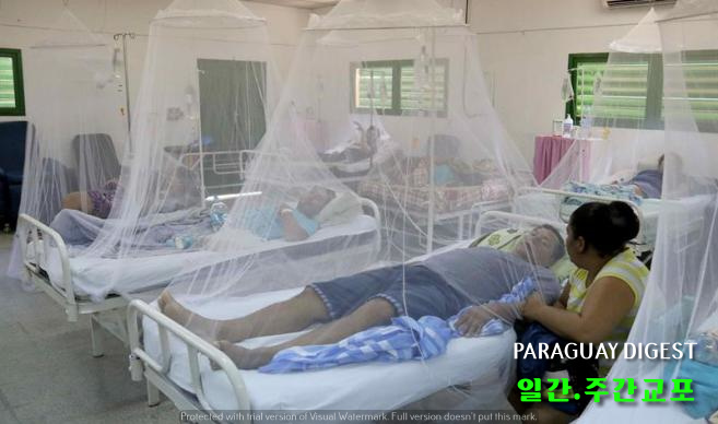 뎅게열 퇴치 캠페인.jpg