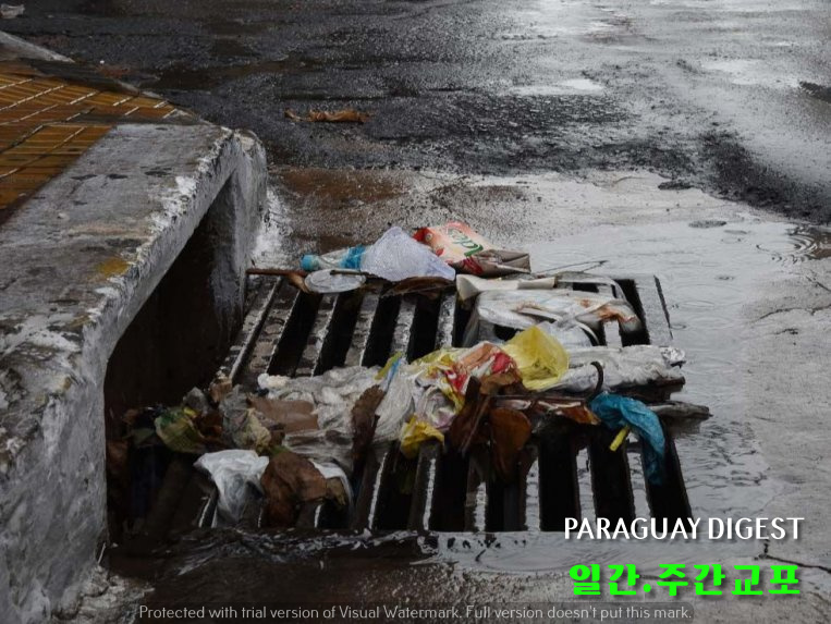 비올때 쓰레기 투척 벌금 유명무실.jpg