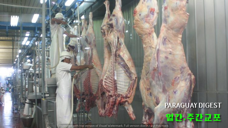 쇠고기 도축량 감소.jpg