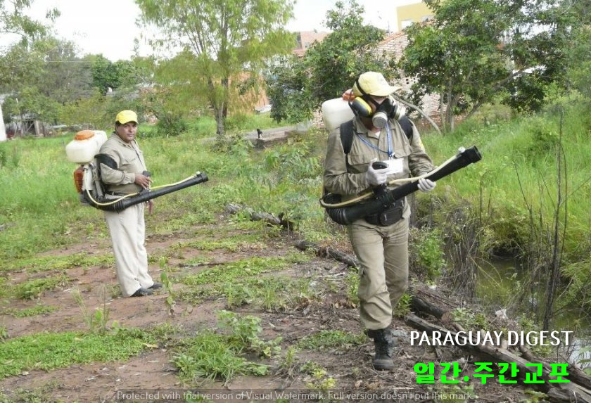 치쿤꾸냐 발병 케이스.jpg