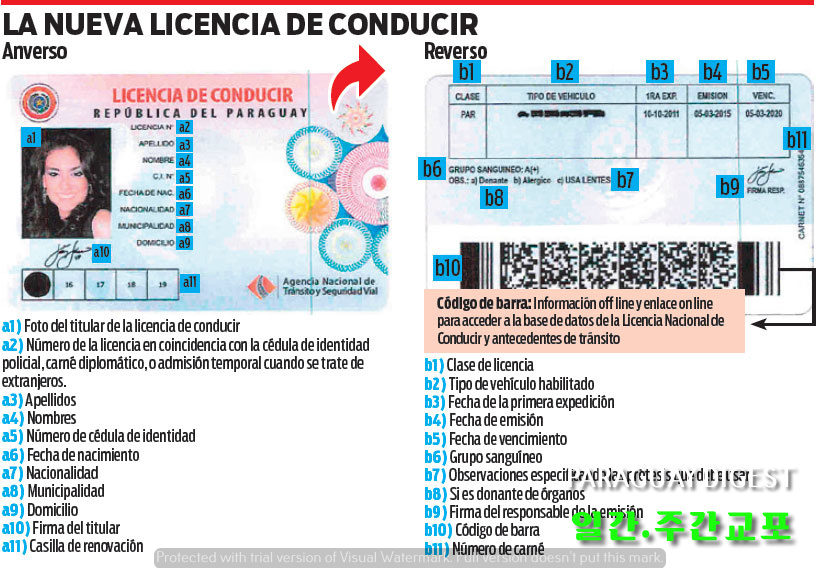 운전면허증 비용 올려.jpg