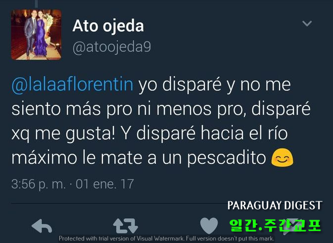 허공에 총기 발사, 체포영장 발부.jpg