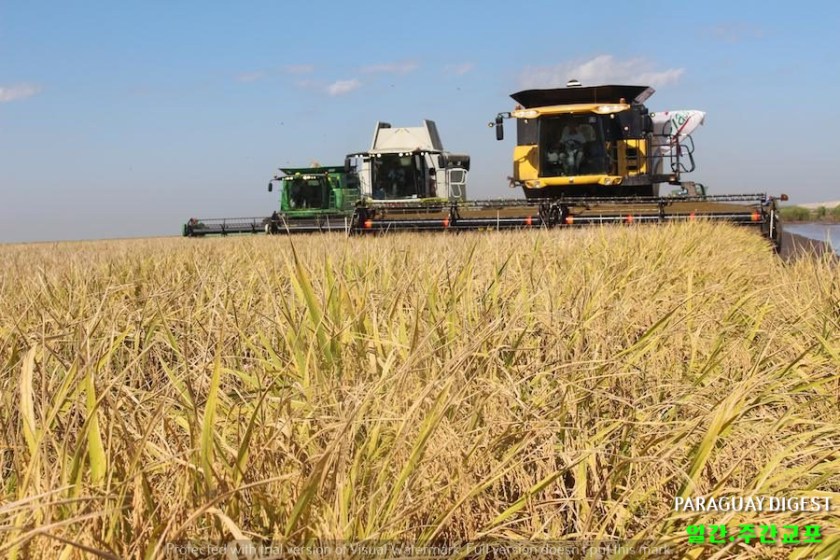 %eb%86%8d%ec%82%b0%eb%ac%bc-%ec%88%98%ec%b6%9c%ec%a4%91-%ec%8c%80-%ec%88%98%ec%b6%9c%eb%9f%89-%ec%84%b1%ec%9e%a5%ec%9c%a8-%ec%b5%9c%ea%b3%a0