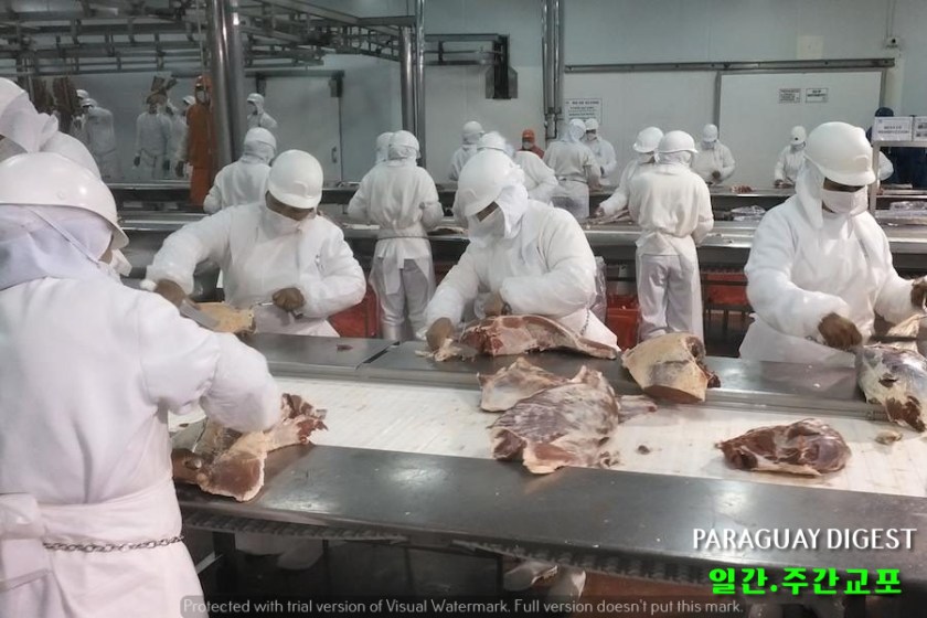 %ec%87%a0%ea%b3%a0%ea%b8%b0-%ec%88%98%ec%b6%9c%ec%8b%a4%ec%a0%81-30-%ec%84%b1%ec%9e%a5