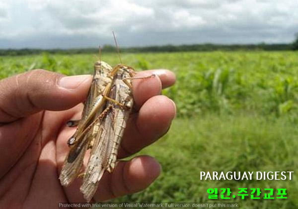 %ed%99%a9%ec%b6%a9%ec%9d%b4%eb%96%bc%ec%b6%9c%ed%98%84-%eb%8a%98%ec%96%b4%eb%82%98