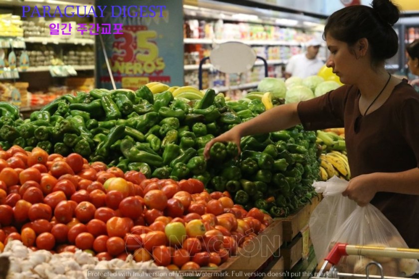 1회용 비닐봉지 사용 규제