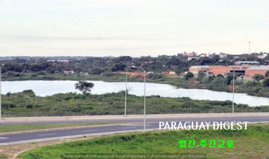 꼬스타네라 노르떼