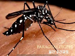 뎅게열 유행 우려