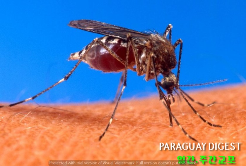 %ec%84%bc%ed%8a%b8%eb%9e%84%ec%a3%bc-%eb%8e%85%ea%b2%8c%ec%97%b4%eb%b0%9c%eb%b3%91%ec%9c%84%ed%97%98-%ea%b0%80%ec%9e%a5-%eb%86%92%ec%95%84