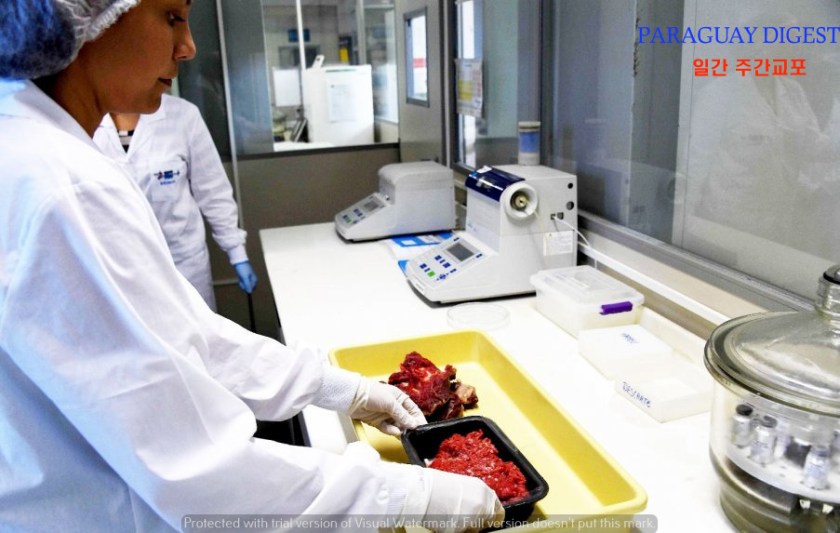 유럽연합서 브라질산 쇠고기 수입금지요청.jpg