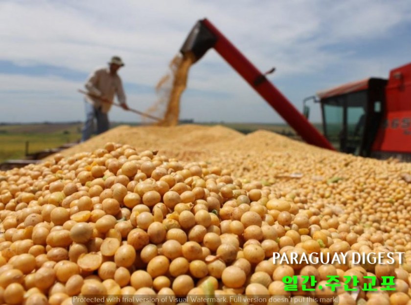 %ec%bd%a9-%ec%87%a0%ea%b3%a0%ea%b8%b0-%ec%88%98%ec%b6%9c