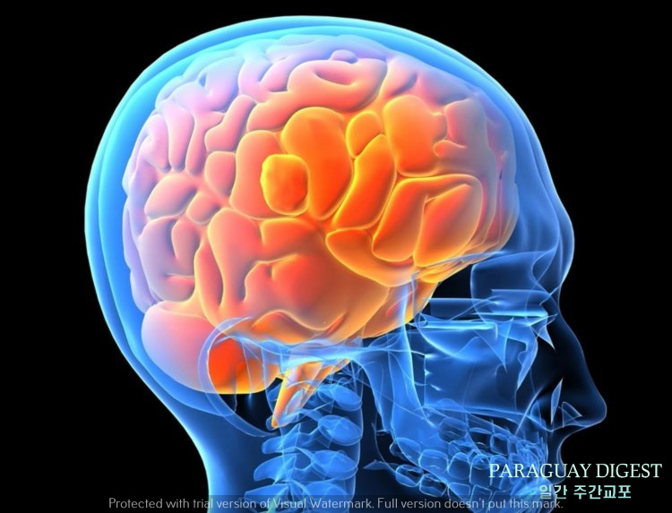 뇌수막염 발생.jpg