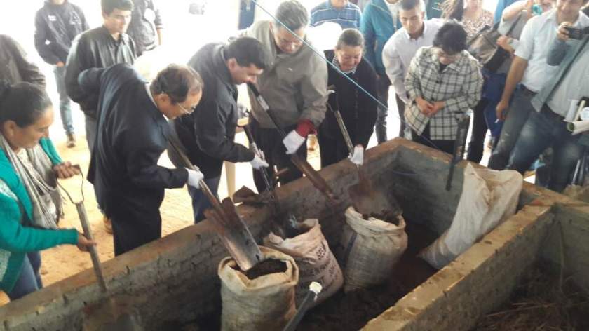 4지렁이 입식 순서